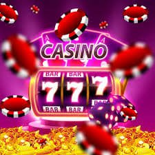 577 bed